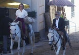 George Clooney Esel