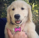 Addie Jake