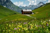 Die Alpe Garnera liegt malerisch auf 1.680 m Seehöhe im Montafon.