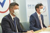 Weitere FPÖ-Politiker wechseln zu Straches DAÖ