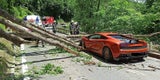 Stubenbergklamm: Baum stürzt auf Lamborghini