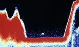 Loch-Ness-Monster in 150 Metern Tiefe entdeckt