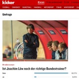 Nach Debakel: Deutsche fordern Löw-Aus