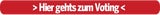 Voting Salzburg