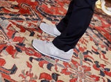 Mückstein: Zur Angelobung mit Sneakers