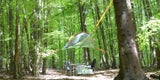 Baumzelt im Wald