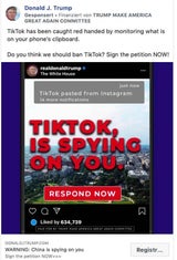 Petition für TikTok-Verbot: Trump rächt sich an App