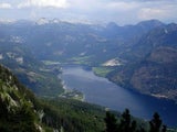 WILDFISCHVERMARKTUNG-DER-SA