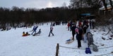 Wirbel um "Mega-Rodelparty" am Wiener Kahlenberg