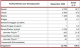 Neuzulassungen heuer erstmals im Plus