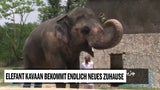 Unsere Tiere - Elefant Kavaan 2 - Sendung 26072020