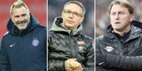 Fink Canadi Hasenhüttl