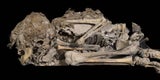 Spektakulärer Fund in der 'Höhle des Grauens'
