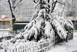 Schnee-Chaos: 100 Einsätze alleine in Wien