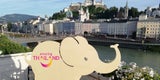 Thai-Smiley-fant in Salzburg