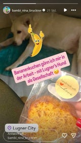 Nina "Bambi" Bruckner zeigt ihren Arbeitsalltag mit Lugners Hund Michi.
