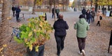 Kein Abstand: Massen-Ansturm trotz Lockdown