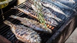 Gegrillter Fisch
