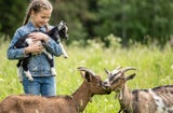 Die HOFER Eigenmarke Zurück zum Ursprung lädt Schulklassen der 5. Schulstufe zum Alpenschule-Wettbewerb 2026.