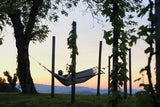 Die Top 5 Urlaubserlebnisse mit Tieren