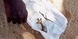 Frosch Kind SImbabwe