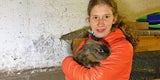 Schwaz: Hase ''Wuschl'' verschanzte sich eine Woche lang im Rohr