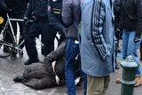 10.000 Bei Anti-Corona-Demo: Erste Festnahmen bei Ausschreitungen