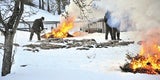 Fuchs Massaker
