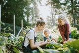 Nachhaltig leben als Familie