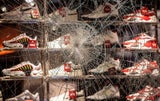 Wer steckt hinter der 'Schande von Stuttgart'?
