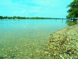neufeldersee