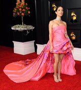 Grammy Awards - Flop-Looks