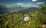 Kurios: Alpenverein startet Kampagne gegen Toiletten-Gänge im Freien