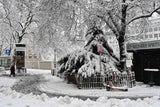 Schnee-Chaos: 100 Einsätze alleine in Wien