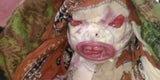 Alien Baby Indien