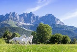 Die Top 5 Urlaubserlebnisse mit Tieren