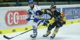 VSV stoppte Capitals-Serie mit 4:1-Heimsieg