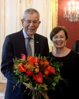 vdb