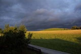 danielle_stift1