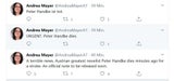 "Peter Handke ist tot" - Twitter-Hoaxer knöpft sich Staatssekretärin vor