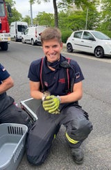 Feuerwehr rettet Katzen-Baby aus Motorraum eines Autos
