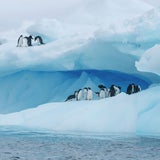 Slideshow: Expedition in die Arktis