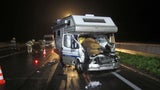 Unfall Pferd