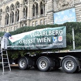 Christbaum Wien Rathausplatz