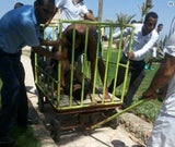 Hurghada Attentäter