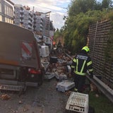 Happy End: "Lisl" überlebt Hühner-Inferno