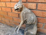 Mumifizierte Katze