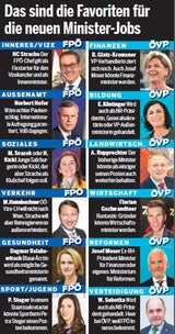 So wird die neue Regierung