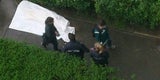 Rätselraten nach tödlichem Fenstersturz