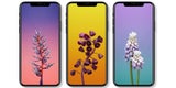 Alle Infos zu iPhone X, iPhone 8 und Apple Watch 3